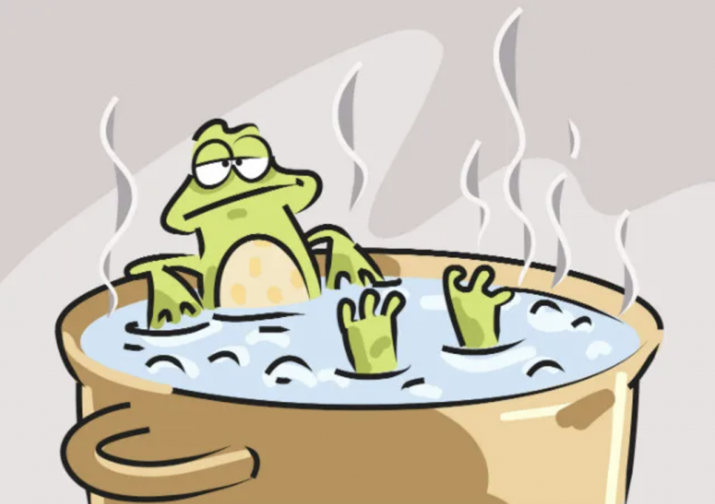 the-boiled-frog-theory 1