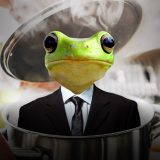 the-boiled-frog-theory