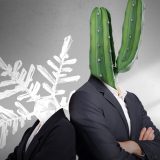snowflake-vs-cactus-personality-at-work