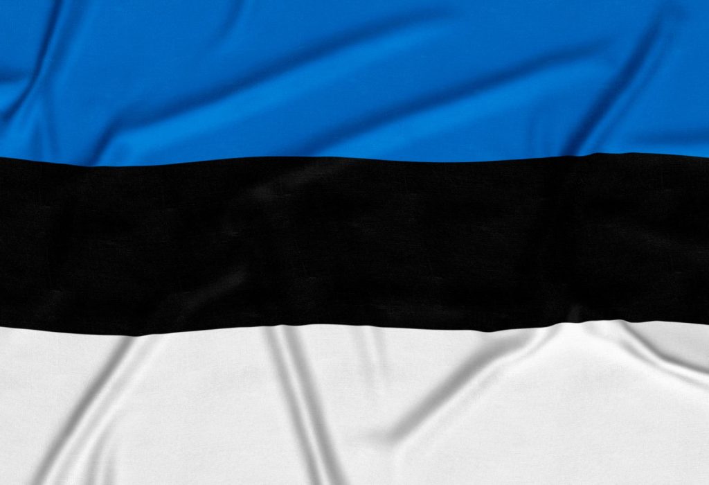i-voting-estonia-election 2