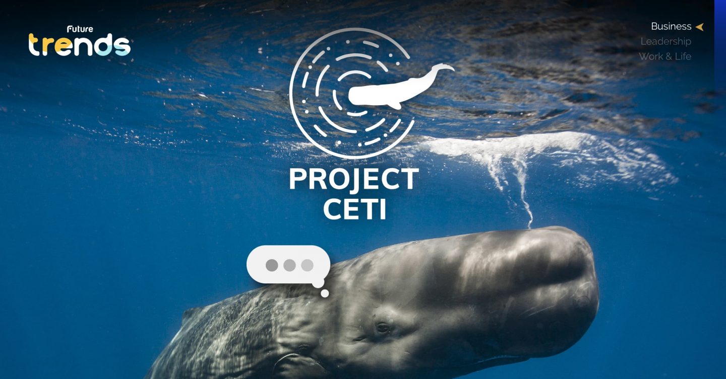 ‘Project CETI’ โครงการสุดล้ำทลายกำแพงแห่งการสื่อสารข้ามสายพันธ์ุ