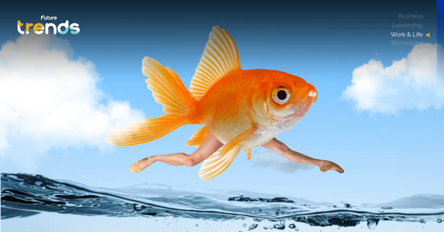 ‘กระโดดอย่างสุดแรง’ ถอดบทเรียนผู้นำจากปลาทองที่เต็ม 100 กับทุกสิ่ง